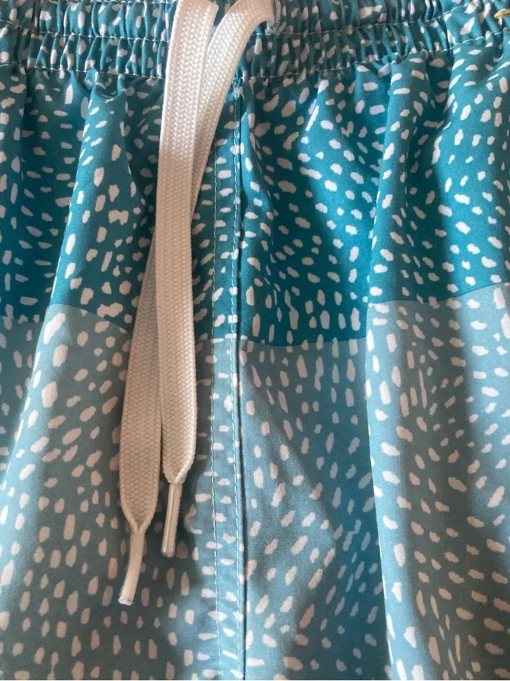 Chubbies SZ L turquoise Dot-Striped Swim Trunks
